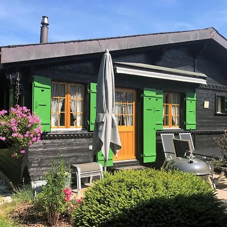 Lejlighed Abnaki- By Interhome Gstaad